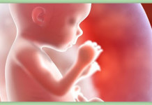 La realidad detrás de la despenalización del “aborto terapéutico”