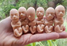 Directora de un colegio es relegada de sus funciones por permitir una charla “en contra del aborto”
